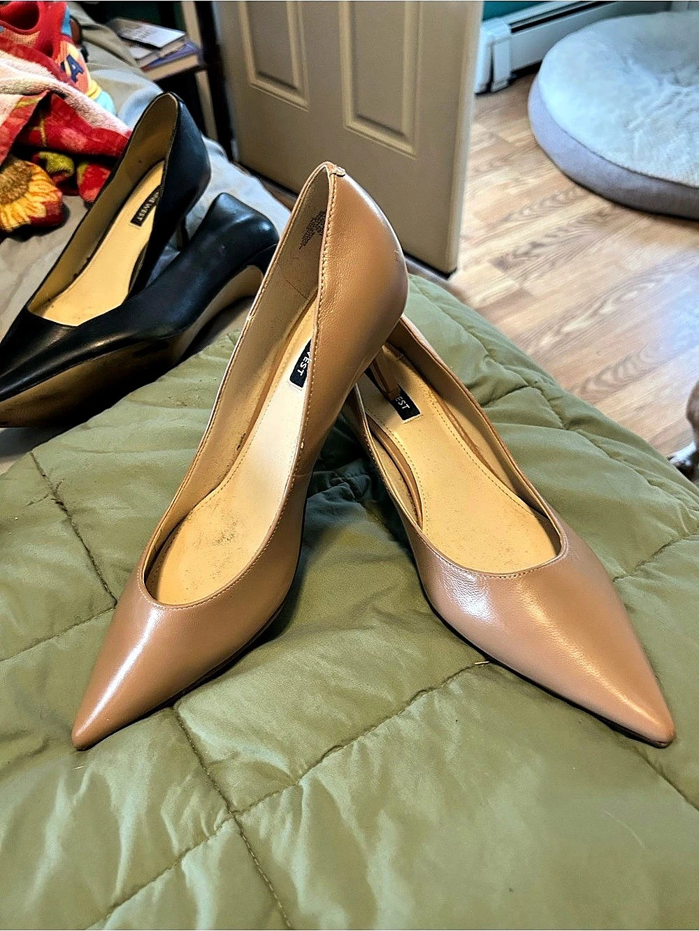Nine West Tatiana Pointy Toe Pumps in Brown
